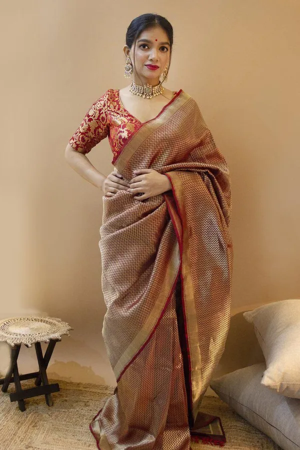 Red,_Gold_Woven_Kanjivaram_Silk_Saree_with_Saree_Cover
